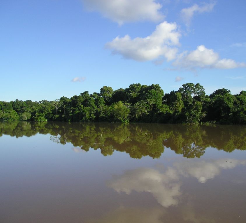 Sensibilización hacia la Amazonia