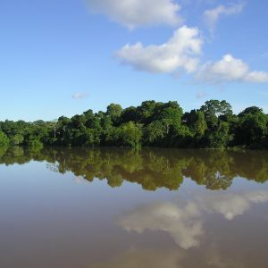 Sensibilización hacia la Amazonia
